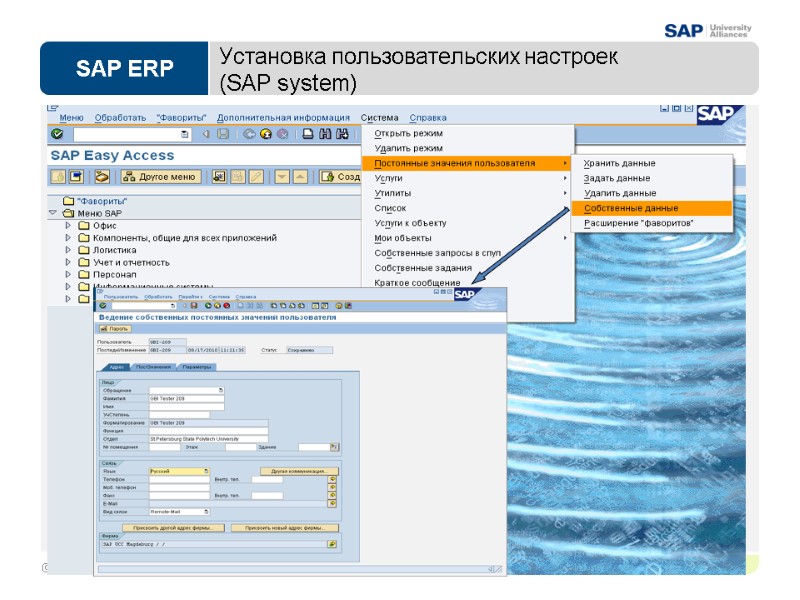 Установка пользовательских настроек  (SAP system)